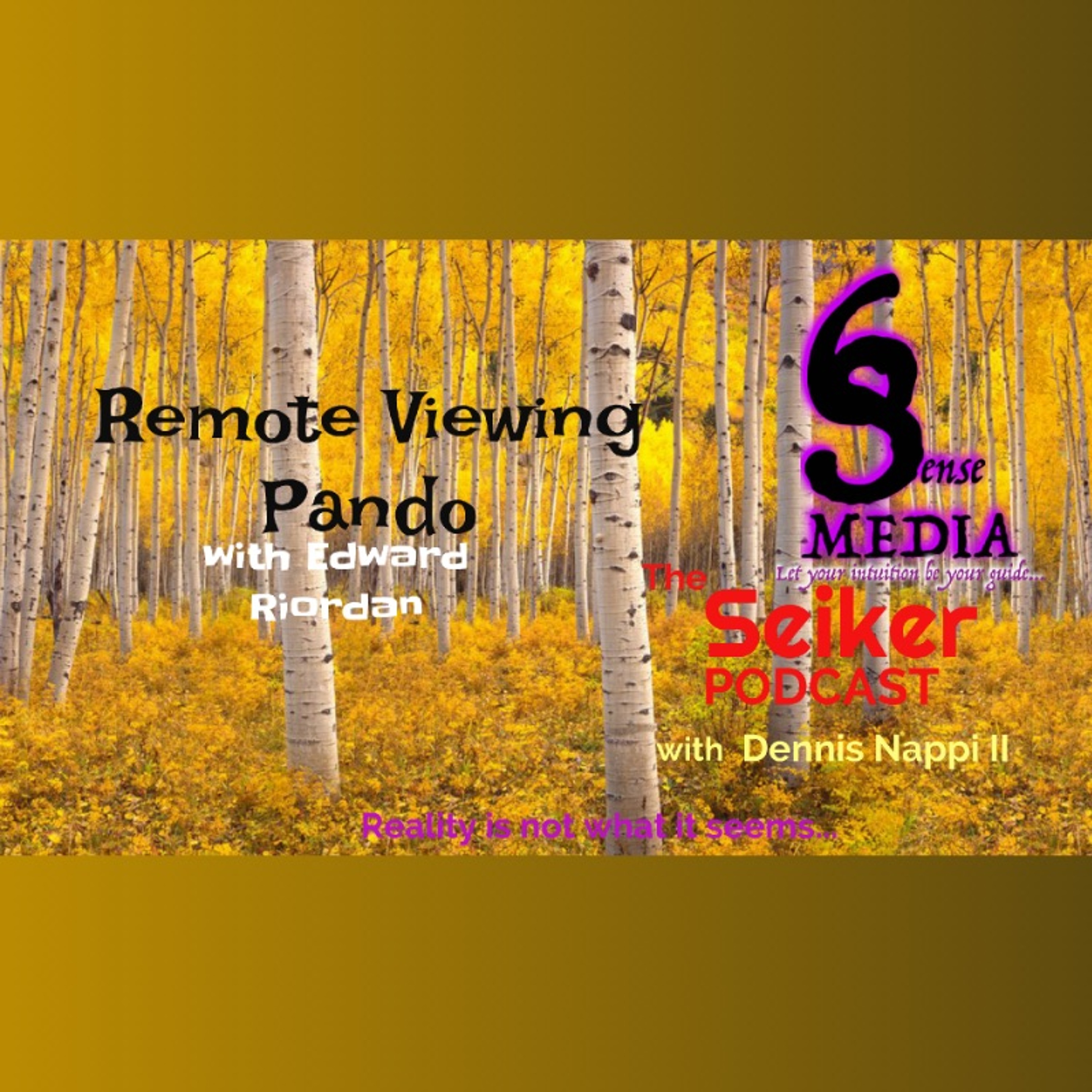 The Seiker Podcast