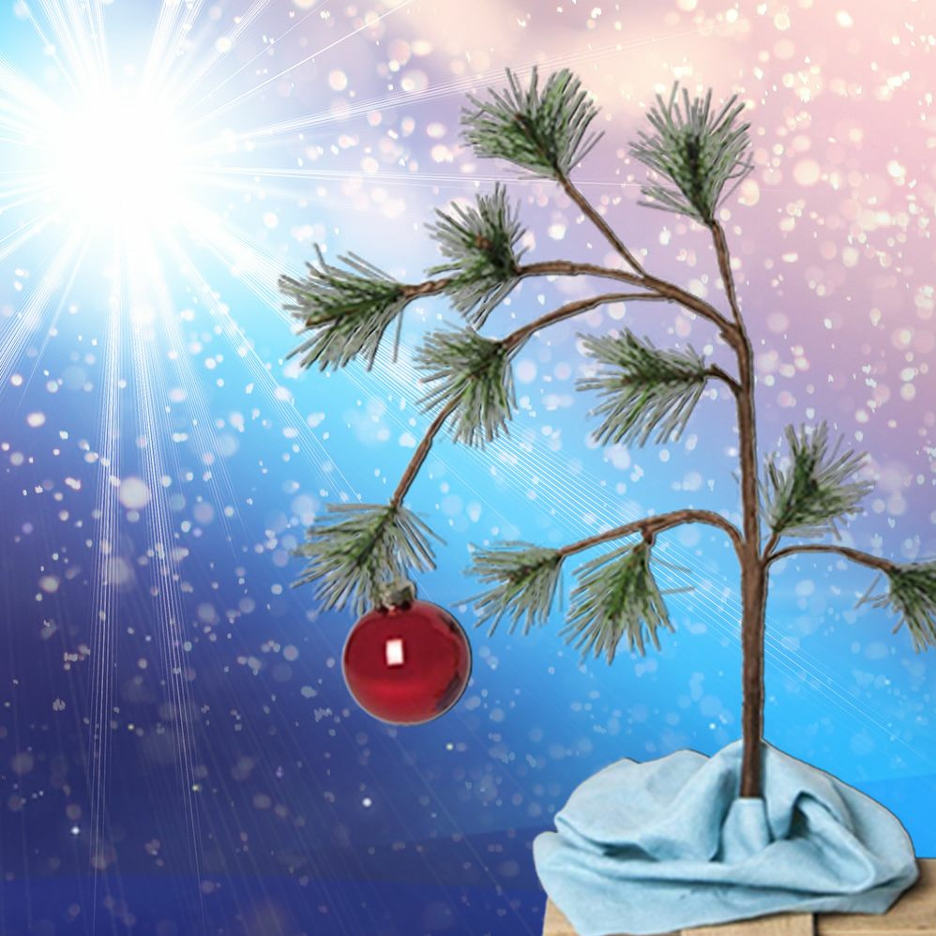 Bethany UMC, Austin TX