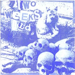 Two Weeks Old - Change [2003]
