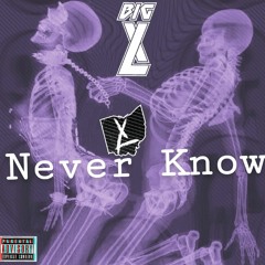 Never Know - Big XL