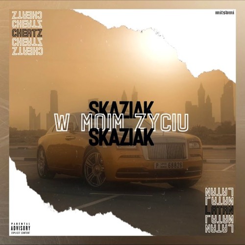 Skaziak Ft.cheatz, LataN - W Moim Życiu