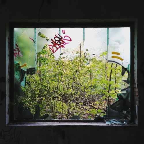 Vinyl Session - sunday Discofun