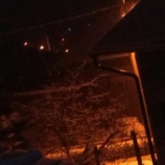 stari trep 2013/2014