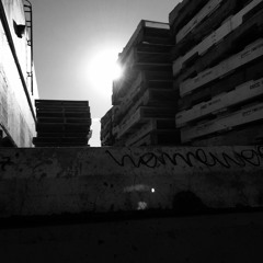 shut the fuck up and drive