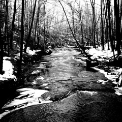 Black Current (Clip)