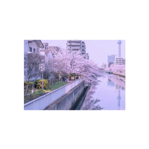 nosao - at river, when we first met