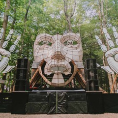 Woulg @ Fractalfest 2018 - Woods Stage