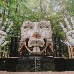 Sourone [glitch set] @ Fractalfest 2018 - Woods Stage