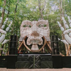 Zen Baboon @ Fractalfest 2018 - Woods Stage