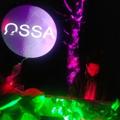 Forest 2019 (live) - Octa Concept