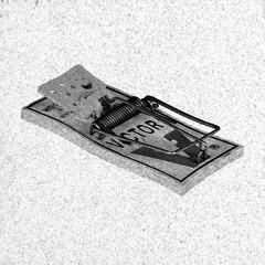 24 - YuxiGuru x yung reverta