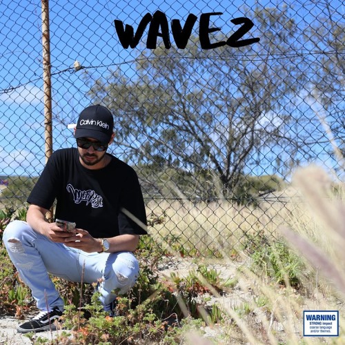 DOUBLE DROP (feat. Treks, BudHunter & Decibel)