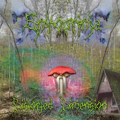 Enkoprinja - Acid Trip