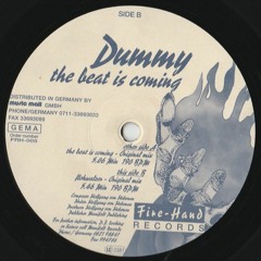 Dummy - Flohwalzer (Original Mix)