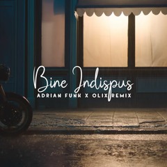 The Motans - Bine Indispus (Adrian Funk X OLiX Remix)