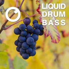 Liquid Drum and Bass Sessions  #15 : Dreazz [January 2020]