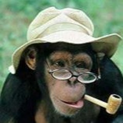 (2016) The Year Of The Monkey - Monkey Man Cdj Reeko (Intro)