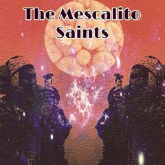 "Toad Lick"take1-The Mescalito Saints