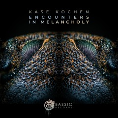 Käse Kochen - Asteroid In Orbit [Preview] • 'Encounters In Melancholy' Album