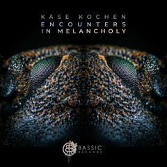 FREE DOWNLOAD: Käse Kochen - Breaching The Carapace • 'Encounters In Melancholy' LP Excerpt