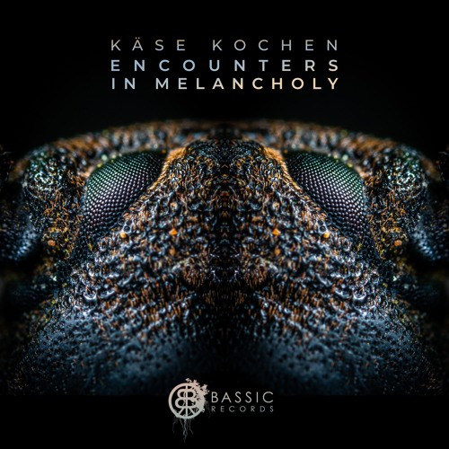 Käse Kochen - Void Of Course [Preview] • 'Encounters In Melancholy' Album