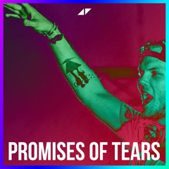 Avicii - Promises Of Tears (Megu. Remake)