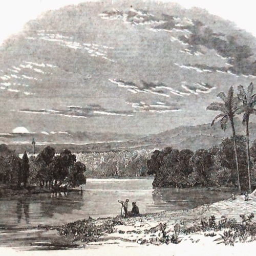 Ahava