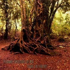 10- Umbral - Violeta Meier