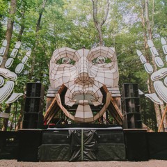 Illdub @ Fractalfest 2018 - Woods Stage