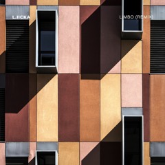 What Ever We Are - Limbo (Liicka Remix)