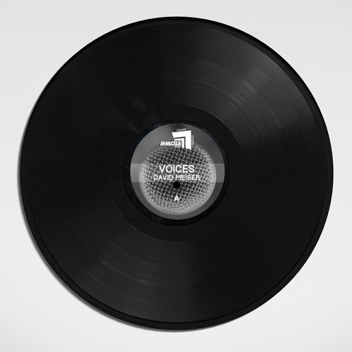 David Meiser - Voices