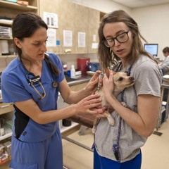 Episode 25 - #SAVEFURSYTH