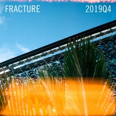 Fracture 2019Q4