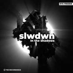 T3K-FREE082: Slwdwn - In The Shadow