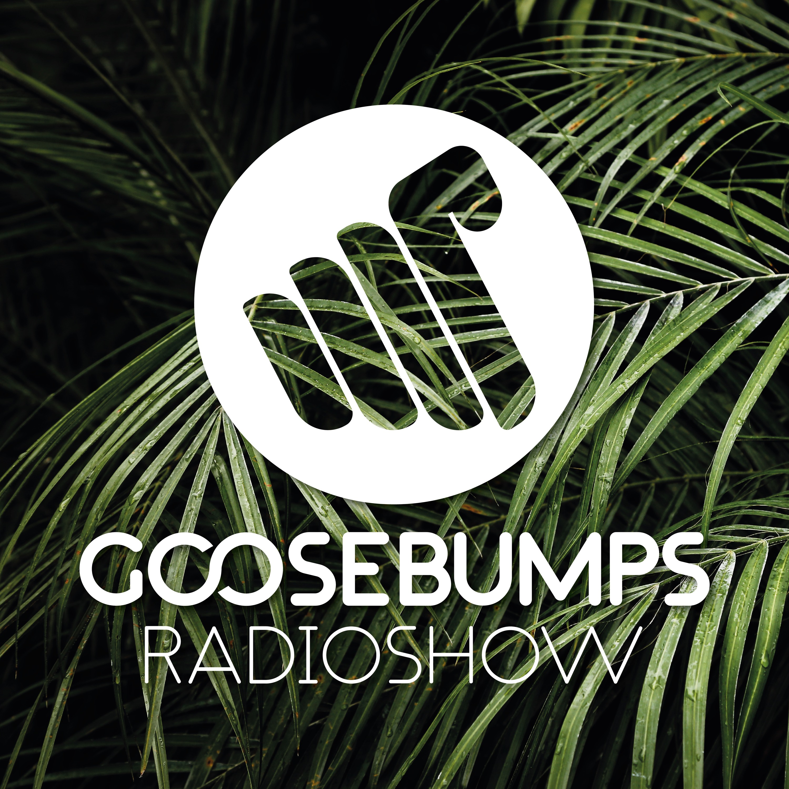 010 - GooseBumps Radioshow episode artwork
