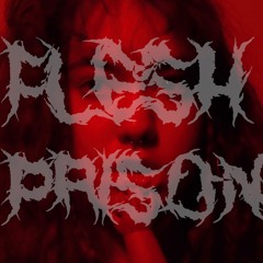 {{FLESH PRISON}} MIXXXX