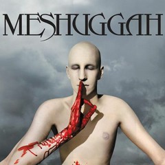 Meshuggah - Bleed (20% Slower, -4 Semitones, Added Bass)