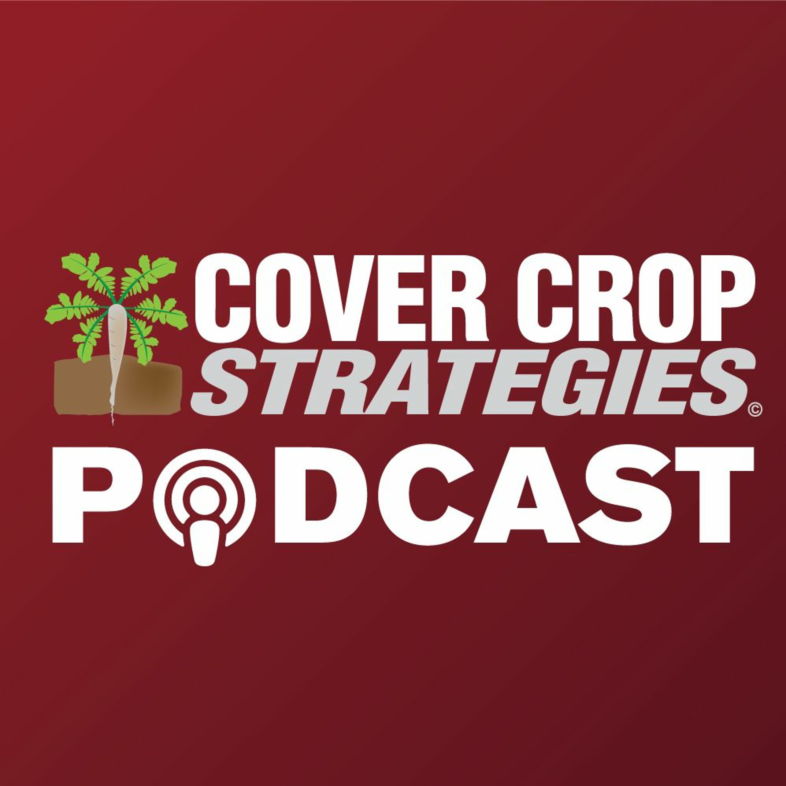 How To Get The Ideal Cover Crop Seeding Rate