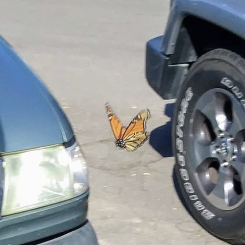 6 Dogs - Flossing (Slowed+Reverb)