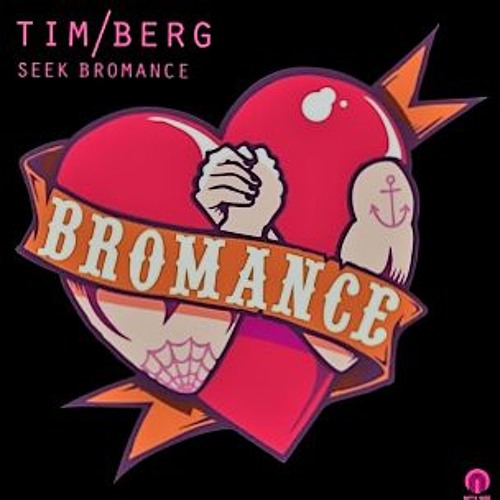Tim Berg - Seek Bromance (Norman Remix)