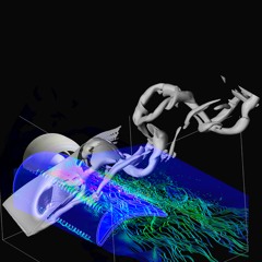 Renata - FDXX - Readapted Means - 27-12-19