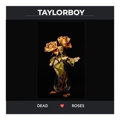 Dead Roses - Taylorboy