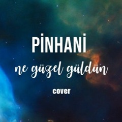 Zehra Cücük - Ne Güzel Güldün (Cover)