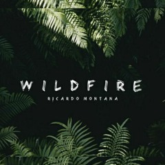 Ricardo Montana - Wildfire (Extended Mix)