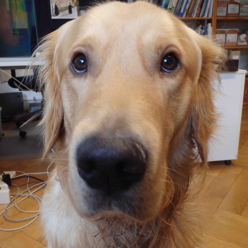 Staal B2B Machkum - Luminositrance²