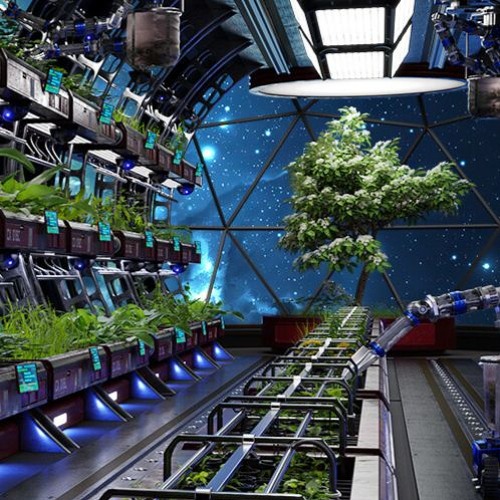 Aeroponics