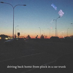 Ptr. - driving back home from plock in a car trunk