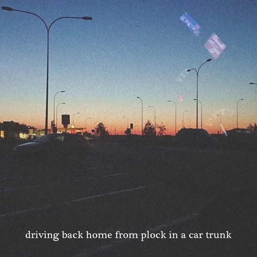 Ptr. - driving back home from plock in a car trunk