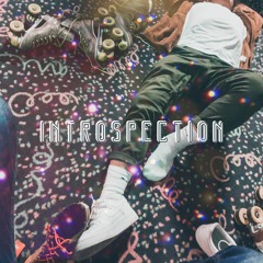 Introspection