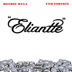 HotBoy Mula - Eliantte Ft.YNH Foreign